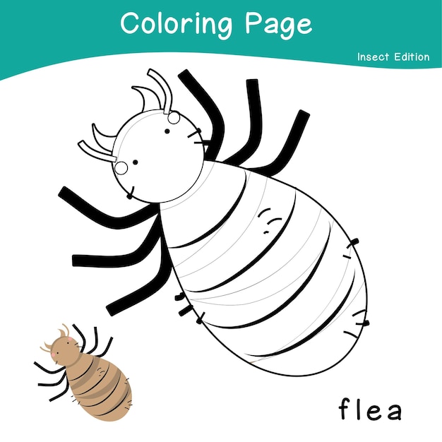 17 Página para colorear de insectos