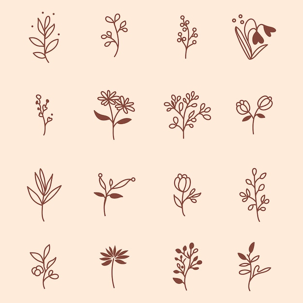 18 Ilustraciones botánicas dibujadas a mano con diseños minimalistas de flores y hojas