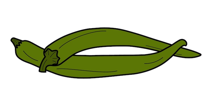 Vector 2 pimientos de chile verdes entrelazados aislados especias convencionales latinoamericanas y mexicanas