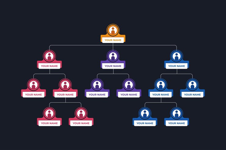 Vector 2400_infográfico