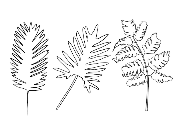 3 hojas de jardín rayadas