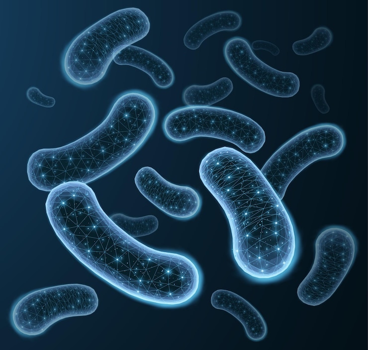 3d bacterias probióticas microbioma flora lactobacillus acidophilus