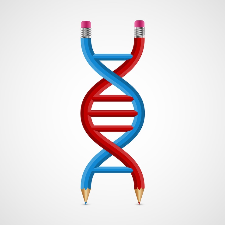 Vector 3d creative icon dna de lápices.