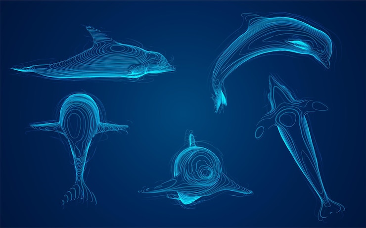 Vector 3d vector set océano protección delfín
