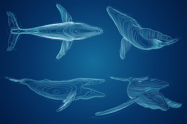 3d vector set océano protección gran ballena azul