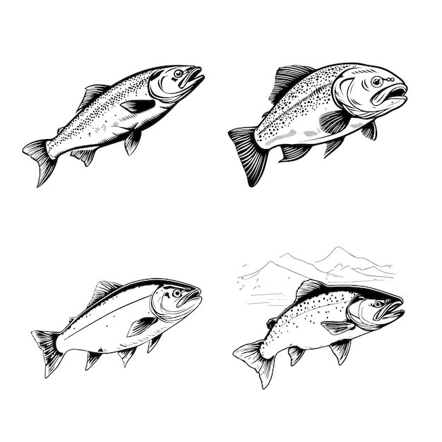 4 Tipo diferente Vector de arte de línea de línea de peces