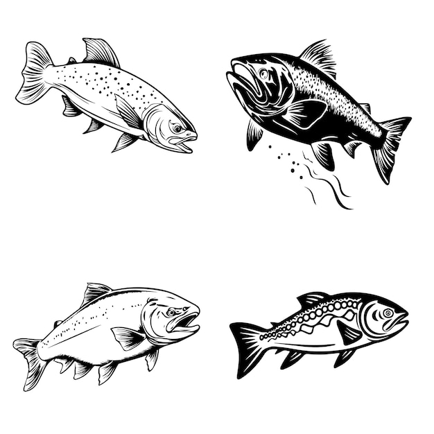 4 Tipo diferente Vector de arte de línea de línea de peces