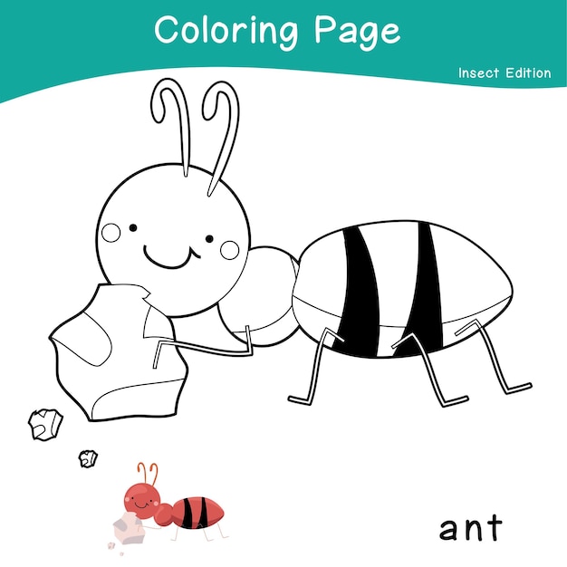 8 Página para colorear de insectos