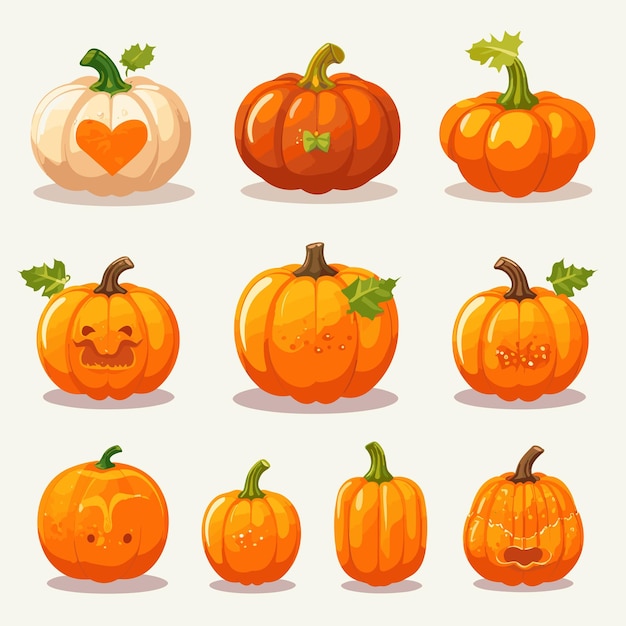 Vector 9 diseño plano de calabaza redonda de diferentes formas vector fondo blanco