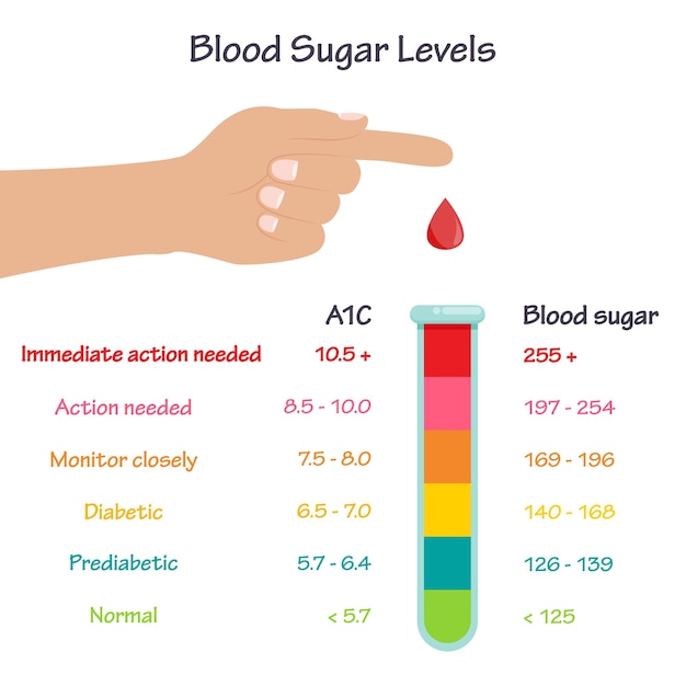 A1C glucosa en sangre azúcar infografía de ilustración de vector médico