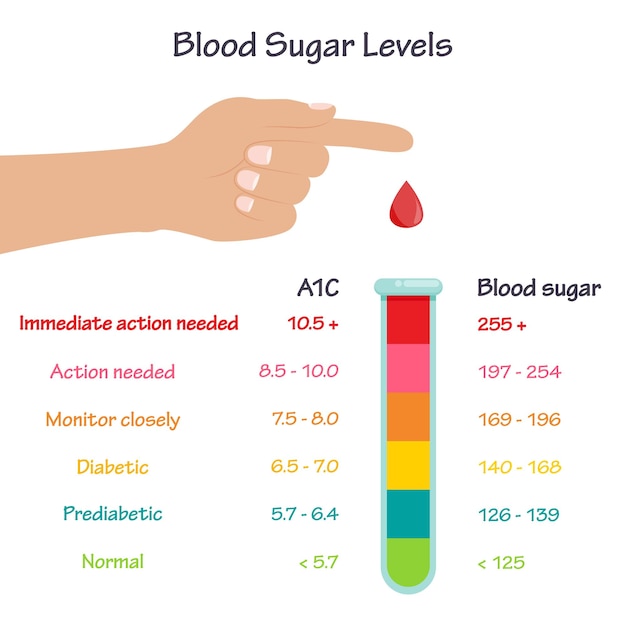 Vector a1c glucosa en sangre azúcar infografía de ilustración de vector médico