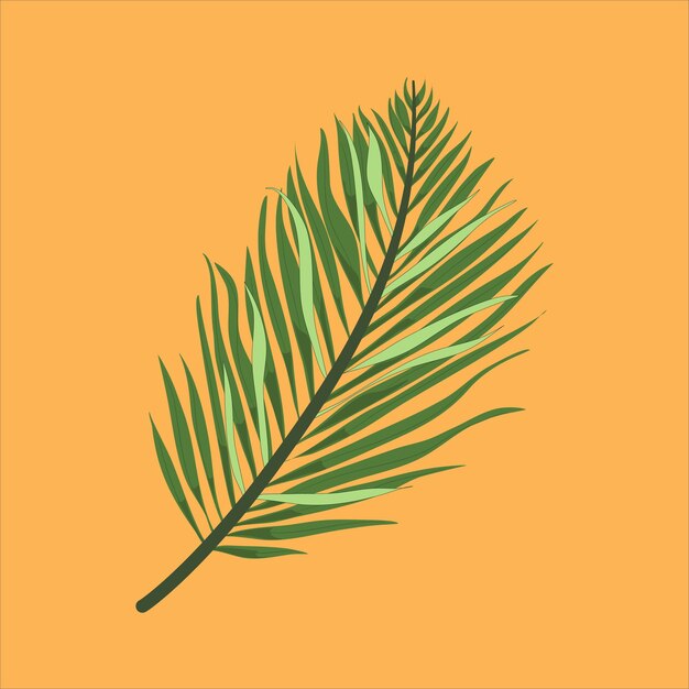 abanico hoja de palma vector ilustración planta floral eps archivo Vintage vector ilustración botánica