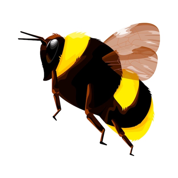 Vector una abeja en estilo de dibujos animados sobre un fondo blanco.