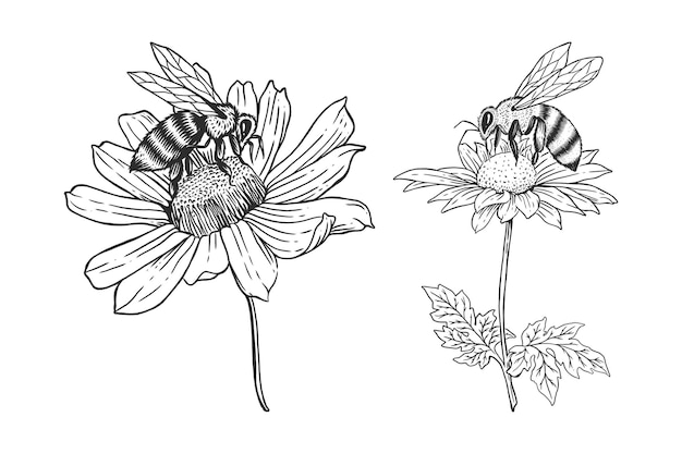 Abeja con flor conjunto de plantillas de ilustraciones dibujadas a mano