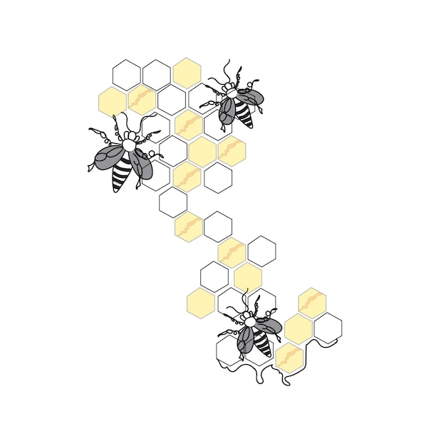 Abeja con ilustración de vector dibujado a mano de panal