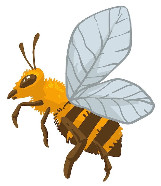 Vector abeja, insecto, abejorro, vida silvestre, y, animales, vector