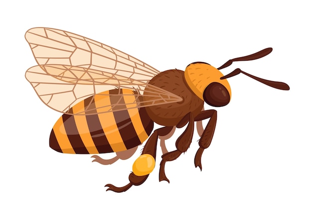 Vector abeja de miel voladora insecto de abejorro de dibujos animados mascota de abeja de miel alada ilustración vectorial plana aislada sobre fondo blanco