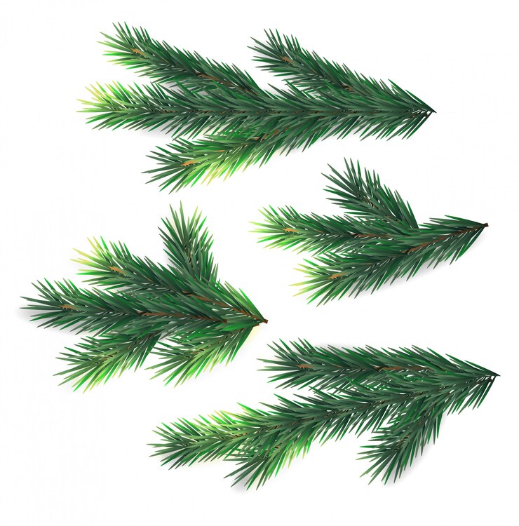 Vector abeto de navidad realista, feliz navidad, decoración de invierno, conjunto aislado, ilustración de abeto verde