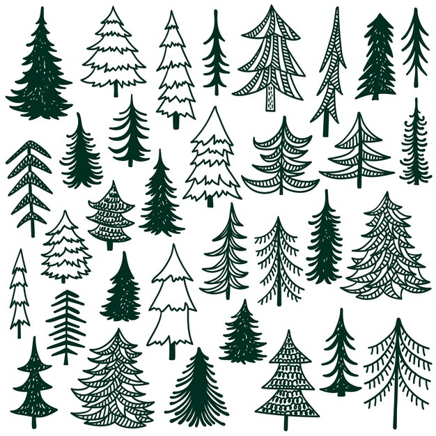Abetos dibujados a mano garabatos ilustración vectorial