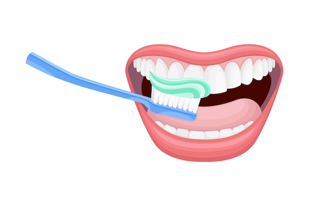 Abre la boca con el cepillo de dientes Fregando y limpiando los dientes Ilustración vectorial