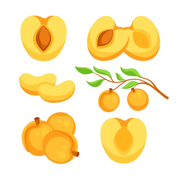 Abricotes con hojas y medio albaricoque con hojas Conjunto de frutas de dibujos animados