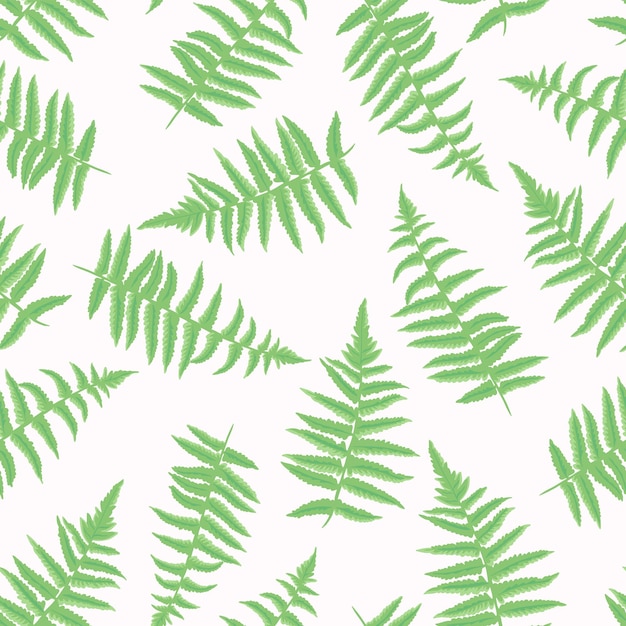 Abstracto artístico hojas verdes helecho patrón sin costuras vector sencillo estilizado tallos de hojas impresión