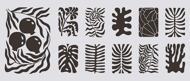 Abstracto Los carteles florales de Matisse establecen un fondo botánico moderno en un estilo minimalista