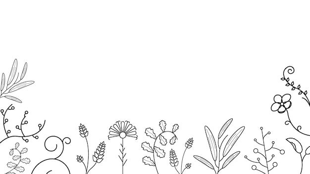 Abstracto Doodle Fondo Naturaleza Elementos de verano Colección dibujada a mano Flora botánica de hierbas hojas