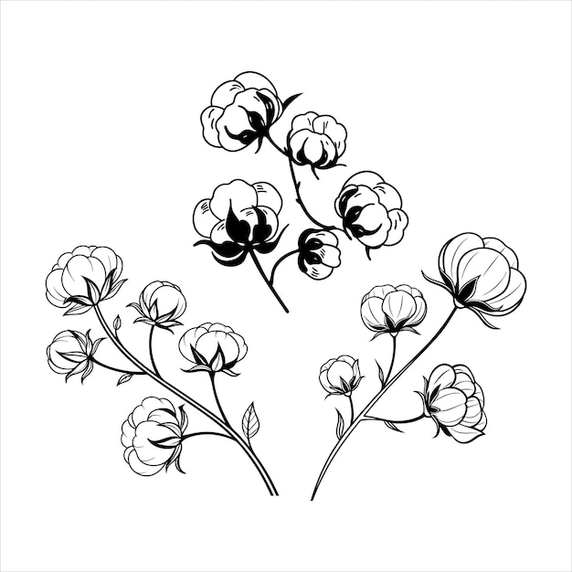 Abstracto Flores de algodón Ilustración vectorial de arte de línea