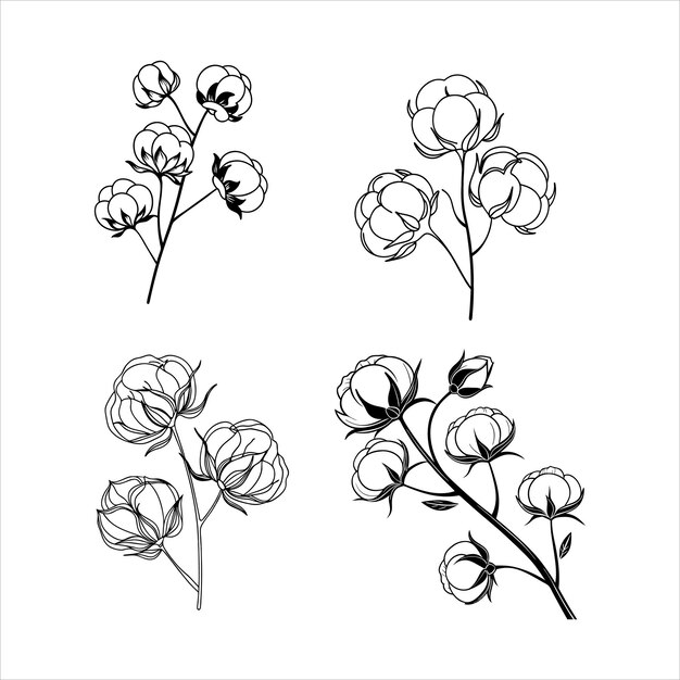 Abstracto Flores de algodón Ilustración vectorial de arte de línea