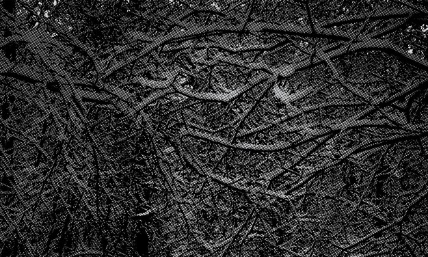 Vector abstracto fondo en blanco y negro textura del árbol monocromo