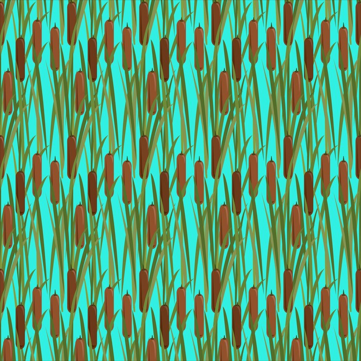Vector abstracto hierba de pantano sin costuras con patrón de cola de gato menor bulrush hoja estrecha cola de gato arte de caña