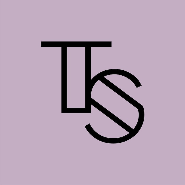 Abstracto en negrita El logotipo de TS Mark Icono moderno