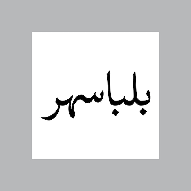 Abul musulmán nombre de niño Nasakh fuente caligrafía árabe
