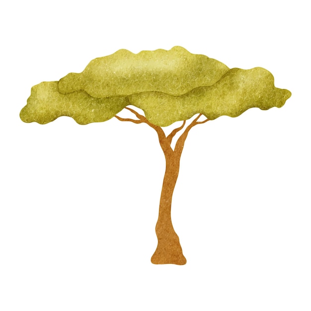 Vector acacia sieberiana ilustración de acuarela dibujada a mano aislada de acacia en estilo infantil árbol del sur para tarjetas de baby shower carteles para niños bienes y habitaciones