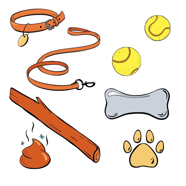 Los accesorios y juguetes esenciales para perros que cada dueño de mascotas debe considerar para sus mascotas