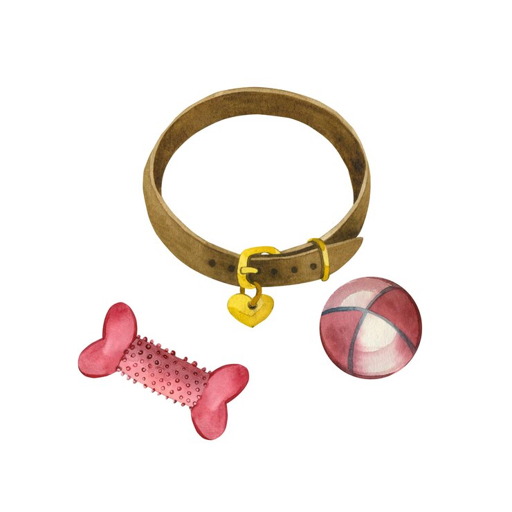 Vector accesorios para mascotas collar de colgante de oro pelota de juego hueso de goma rosa todos los objetos están pintados a mano con