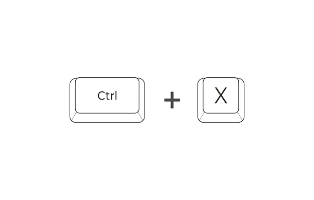 Accesos directos de teclado Crtl X en estilo plano