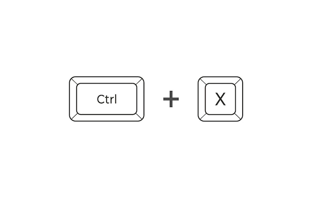 Accesos directos de teclado Crtl X en estilo plano