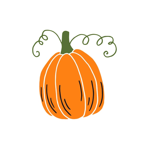 Acción de gracias de calabaza y elementos de Halloween Ilustración vectorial dibujada a mano