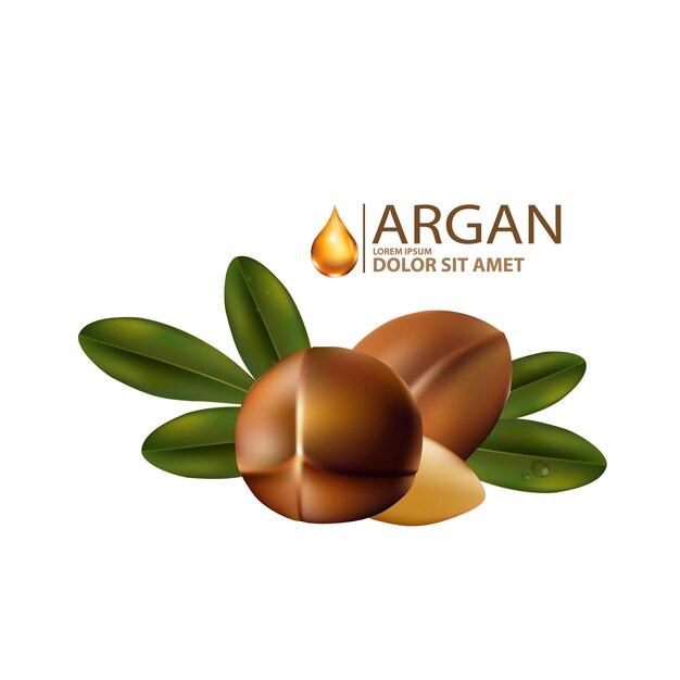 Aceite de argán aislado en diseño plano