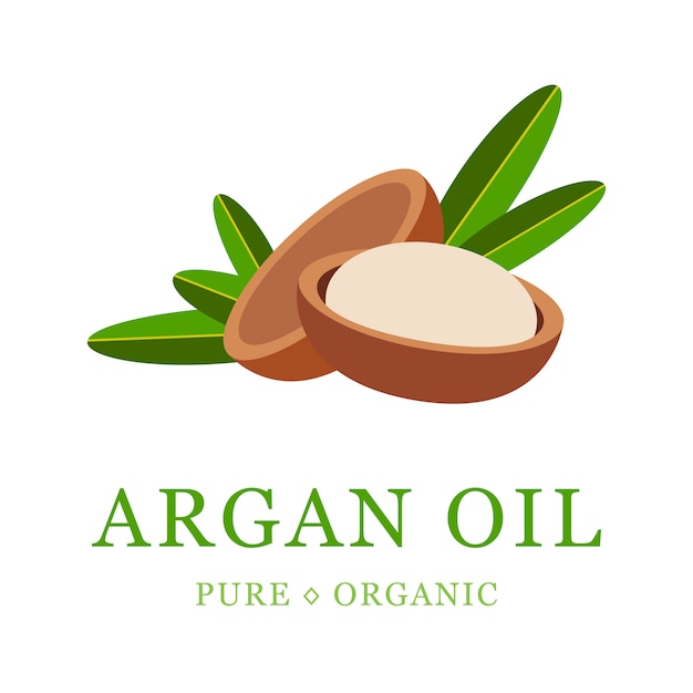 Vector aceite de argán cosmético para el cuidado de la piel. semillas de argán, para la producción de aceite.