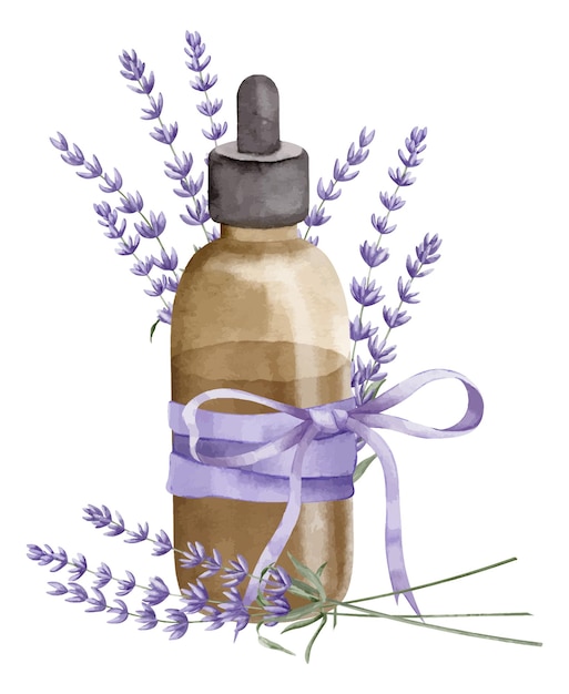 Aceite esencial de lavanda Ilustración acuarela dibujada a mano de botella vintage para aromaterapia sobre fondo blanco aislado Dibujo de frasco antiguo con flores para medicina cosmética o alternativa