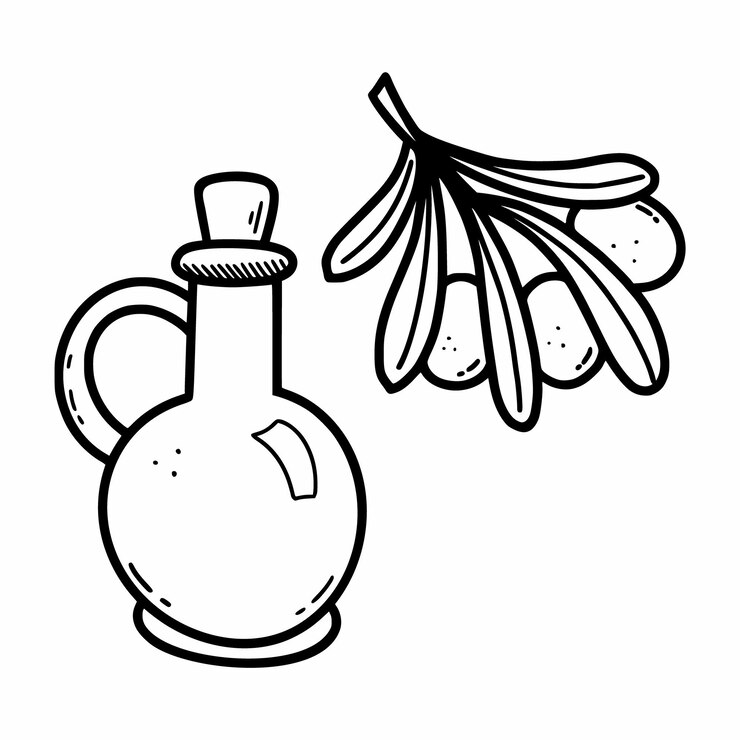Vector aceite de oliva en botella aceitunas en una ramita vector doodle ilustración sketch