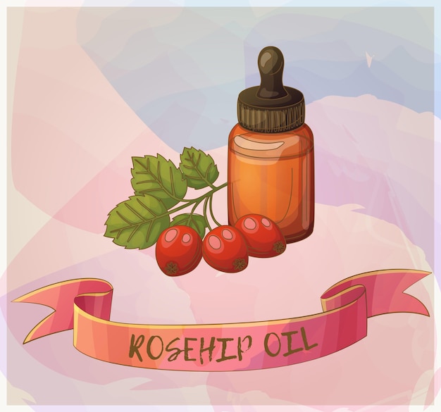 Aceite de rosa mosqueta y bayas en botella ilustración aceite esencial dibujos animados vector icono colores pastel backg