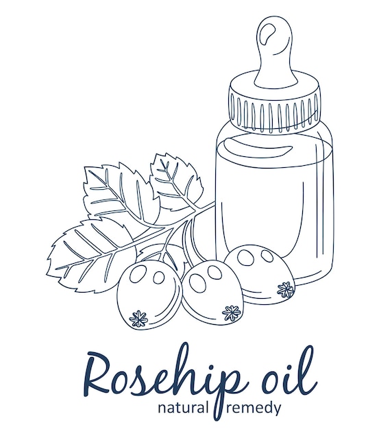 Aceite de rosa mosqueta y bayas en ilustración de botella Icono de vector de dibujos animados de aceite esencial