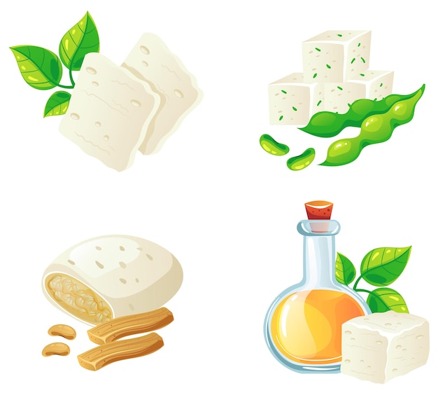 Vector aceite de soja alimento soja tofu proteína estilo vegano conjunto aislado elemento de diseño gráfico