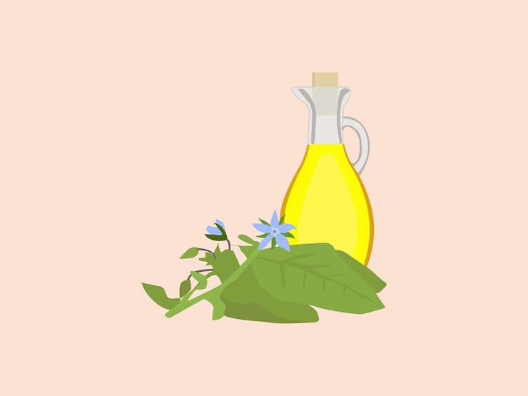 Vector aceite de soja, semillas de borraja, vidrio diverso