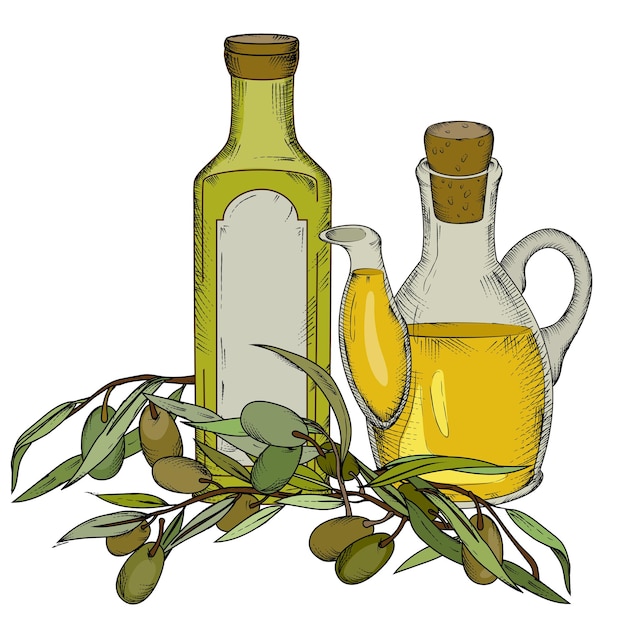 Aceitunas y aceite de oliva orgánico en botellas vector ilustración aislado en blanco