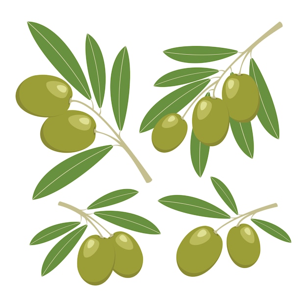 Aceitunas en blanco